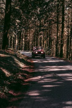 Quelle DSG choisir pour votre voiture ?
